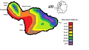 microclimate